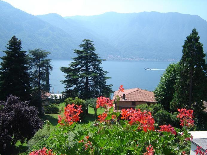 Hotel Lario Mezzegra Bagian luar foto